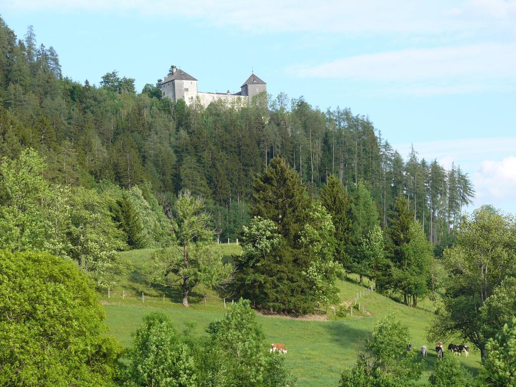 Gasthof Hubertus Saalfelden Værelse billede